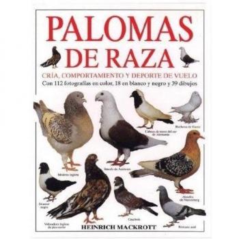 RAZAS DE PALOMAS