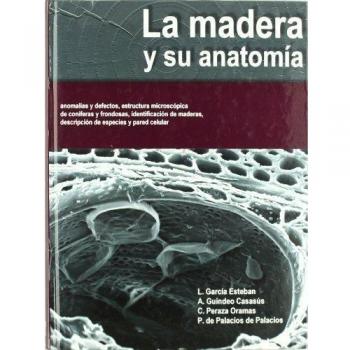 La madera y su anatomía: anomalías y defectos