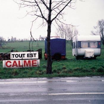 (Everything's Calm) [VINYL]