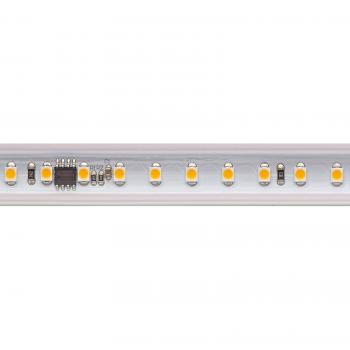 Tira LED 5966 Set, 230V, 10m, IP65, 14W/m, 3.000K