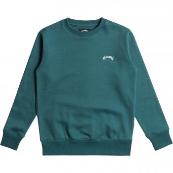 Sudadera Billabong Arch para niños, color turquesa oscuro, talla M