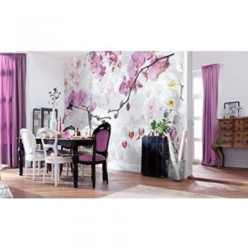 Komar 1 – xXL4 – 032 368 x 248 cmAllure Flor Orquídea Mural de papel pintado – Rosa
