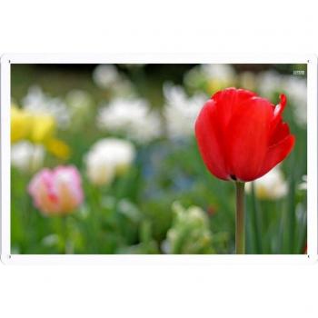 Metal cartel Cartel de chapa Hojalata sesión Flower Tin Sign Red Tulip 35551 Retro Vintage Pared Decoración by hamgaacaan
