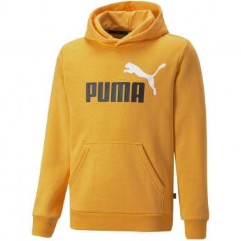 Sudadera Infantil Puma Essentials+ Naranja