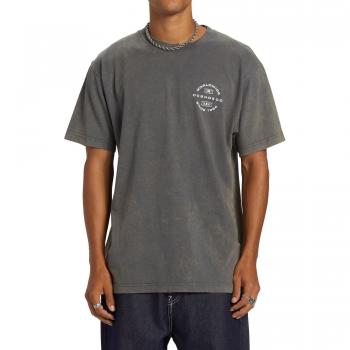 Camiseta de hombre DC Shoes Around Here - Color gris, diseño gráfico en el frente, ajuste regular, fabricada en algodón suave y transpirable
