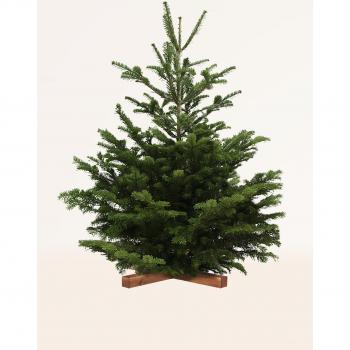 ?rbol de Navidad Nordmanniana - Planta natural
