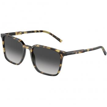 Dolce & Gabbana DG4424F Asian Fit 512/8G Men's Sunglasses Tortoiseshell Size 56