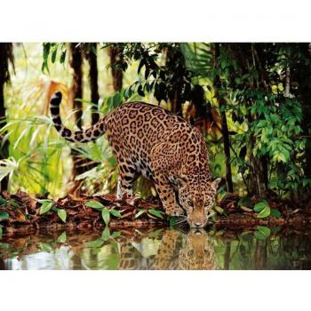 Puzzle Leopardo en la Jungla de 2000 piezas