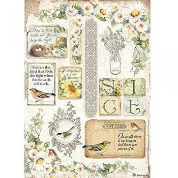 Stamperia International Rice Paper-Daisy Papel de arroz, Margarita, Varios, A4