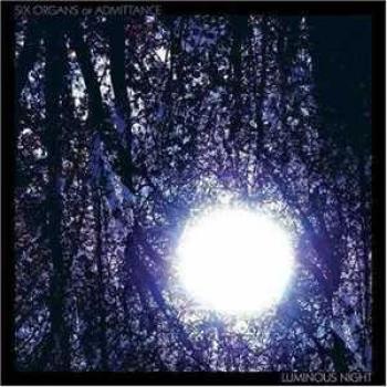 Glow-in-the-Dark Night Light