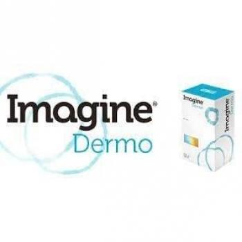 Imagine Dermo 40 Capsulas para Perros y Gatos