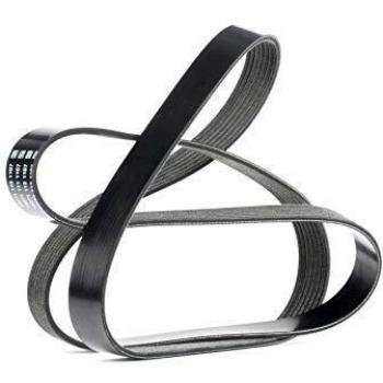 Dayco 7PK1687S Correa trapecial poli V