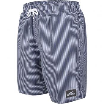 Speedo hombres de Printed Leisure Watershorts, hombre, Printed Leisure, azul y blanco, Medium/18-Inch