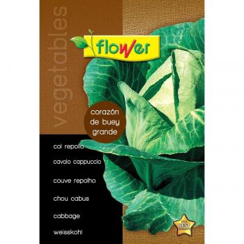 Flower - Sobre semillas repollo
