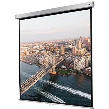 Celexon Pantalla de Proyeccion Manual Mural Profesional Plus 120 x 120 cm