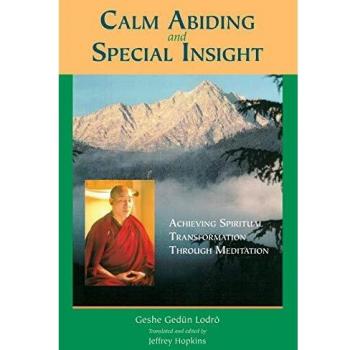 Calm Abiding and Special Insight: Meditation for Spiritual Transformation by Geshe Gedun Lodro