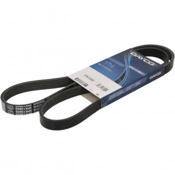 Correa acanalada en V DAYCO 5PK1385S - Correa de transmisión, longitud de 1385 mm, diseño acanalado para mejor agarre y rendimiento, fabricada con materiales duraderos para resistencia al desgaste