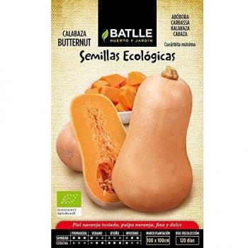 Semillas Ecológicas Hortícolas - Calabaza Butternut - ECO - Batlle