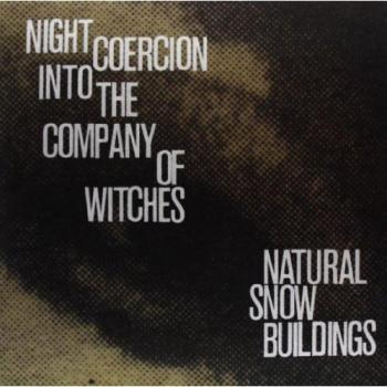 Witching Hour Vinyl - Enchanted Nighttime Experience