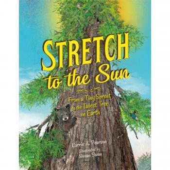 Stretch To The Sun