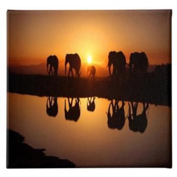 Impresión sobre Lienzo Elefante Multicolor 60x3x60 cm - Epikasa, Poliéster y Madera