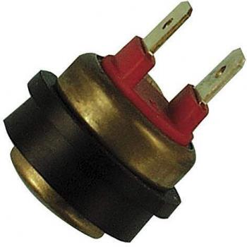 FAE 36290 Interruptor de Temperatura, Ventilador del Radiador