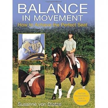 Balance in Movement: How to Achieve the Perfect Seat