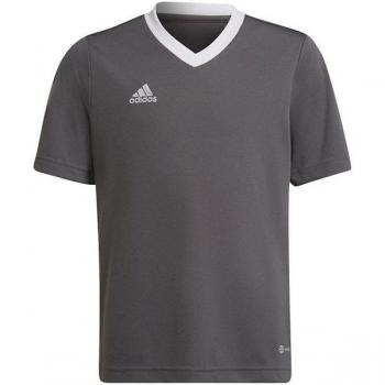 Camiseta de Manga Corta para Niños Adidas Entrada 22 Gris y Blanco