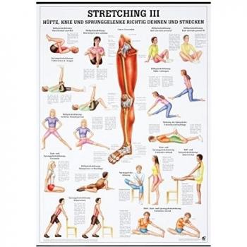 ruediger Anatomía ta70lam Streching III Pizarra, 70 cm x 100 cm, laminado