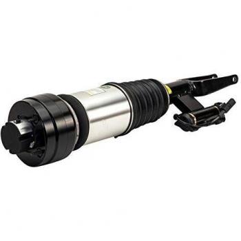 Arnott AS-3000 - Fusible de aire delantero derecho