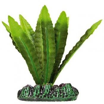 ICA AP1134 Aponogeton de Aquatic Plants Seda