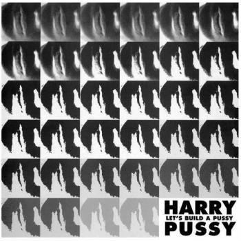 Pussy Construction Kit - Interactive Adult Toy