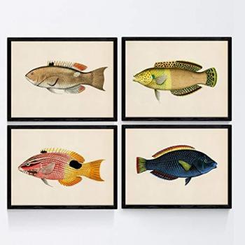 Set de 4 Láminas Vintage de Peces Coloridos en Tonos Azul, Amarillo y Verde - Papel de 250 Gr - Tamaño A4 Sin Marco