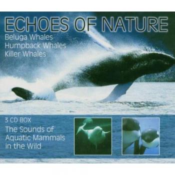 Echoes of Nature