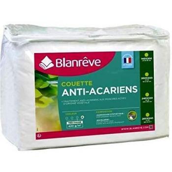 Relleno Nórdico Blanreve 420 g/m² Antiácaros 240 x 260 cm