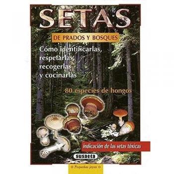 Setas De Prados Y Bosques