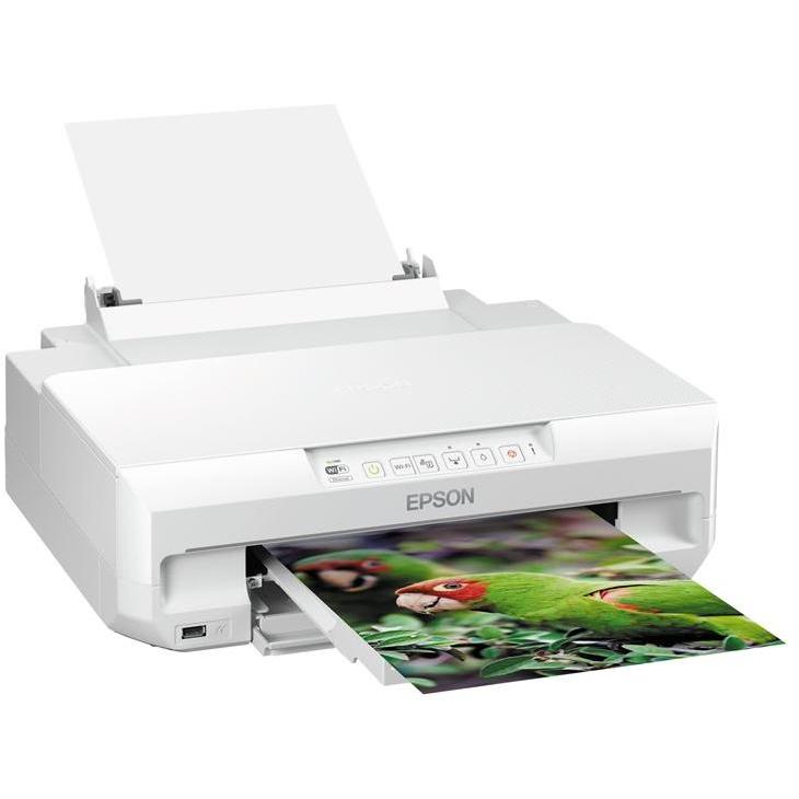 Imagen Principal