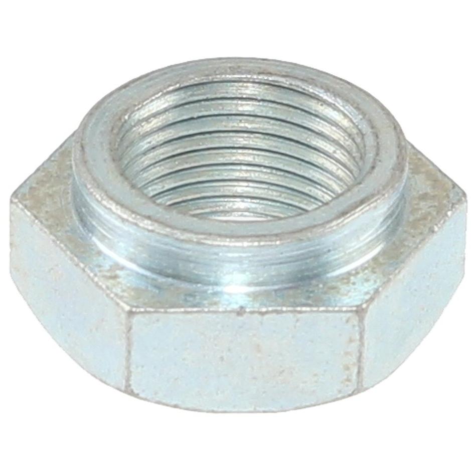 Imagen Principal