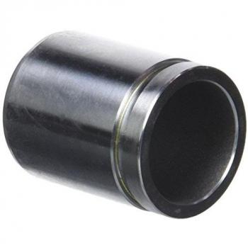 Émbolo de pinza de freno AUTOFREN SEINSA D025631
