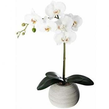 Orquídea Artificial Real Touch en Maceta de Cemento - H53 cm