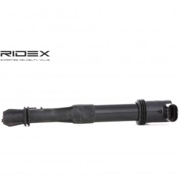 Bobina de encendido RIDEX 689C0036 con 3 conectores para FIAT Doblo I