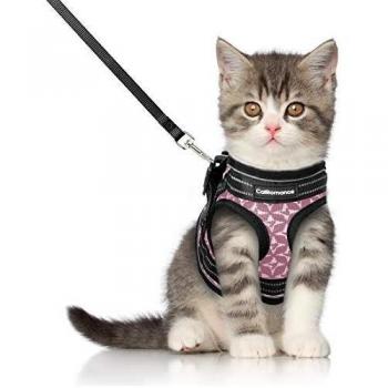 CatRomance Arnés Gato Antiescape y Ajustable con Correa de 150 cm, Arnés Chaleco Gato Reflectante de Tela de Malla Suave y Transpirable para Caminar, Entrenar, Gatos Bebes y Pequeños, Rosa, S