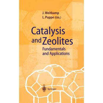 Fundamentals and Applications of Catalysis and Zeolites: Springer Edition