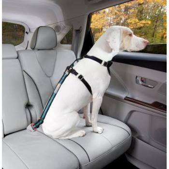 Kurgo Universal Pet Seat Belt Adapter