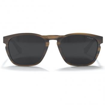 North Sea Brown Tortoise / Black