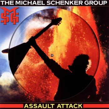 Assault Attack Picture Disc Vinyl