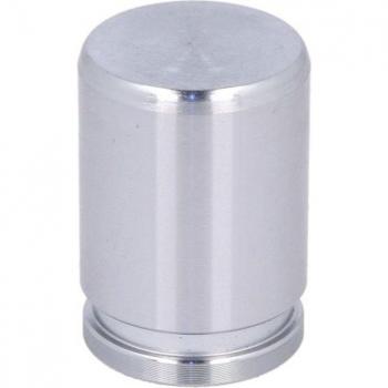 Émbolo de pinza de freno trasero AUTOFREN SEINSA D025434