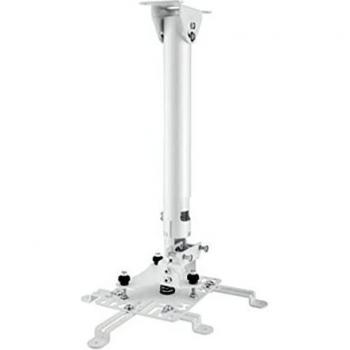 Soporte para Proyector de Techo Ajustable 490-750 mm, Acero Inoxidable, Carga Máxima 25 kg