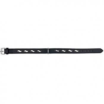 Collar para perros Piel 1a calidad TRIXIE Active remache ondas