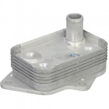 Enfriador de aceite THERMOTEC D4M019TT, radiador de aceite para motor